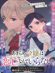 屋顶的风封面